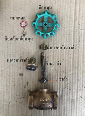 ภายในโกลบวาล์ว (Globe Valve ) มีอะไรบ้าง